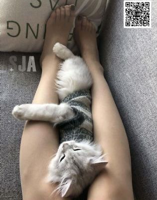 视频在线观看免费版_1080完整版观看